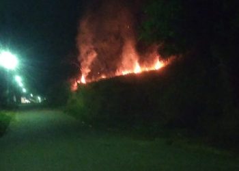 Triste realidade: “Entra ano e sai ano” e as queimadas  voltam a acontecer em  Mantena