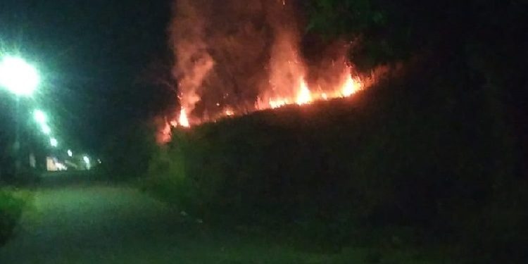 Triste realidade: “Entra ano e sai ano” e as queimadas  voltam a acontecer em  Mantena