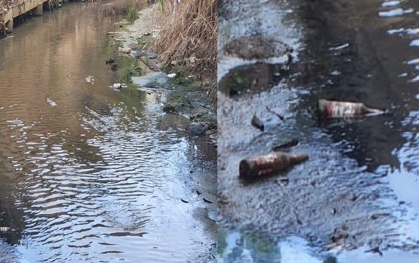 Imagens Do Dia: Duas realidades, enquanto um marrequinho luta pela vida   o lixo flutua  ao seu lado no leito do Córrego São Francisco em Mantena  