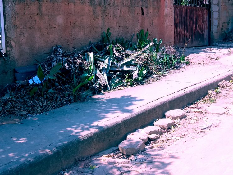 Há mais de um ano: Veja a situação de vergonha na Rua Luiz Oaks no bairro  Boa Esperança  em Mantena 