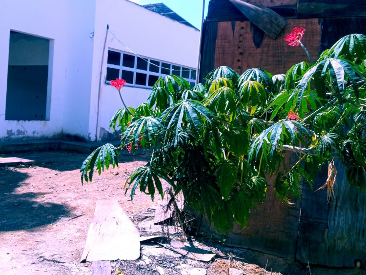 Aperte 40 e depois confirme: 250 crianças esperam há 6 anos pelo término das obras da Creche, promessa de campanha em Mantena, veja o vídeo 