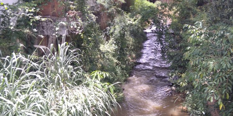 Imagem Do Dia: Fim de ano se aproximando e morador  preocupado com as chuvas  mostra situação  do rio em Mantena 