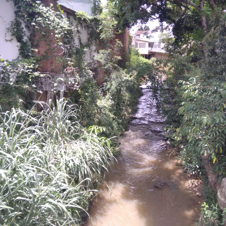 Imagem Do Dia: Fim de ano se aproximando e morador  preocupado com as chuvas  mostra situação  do rio em Mantena 