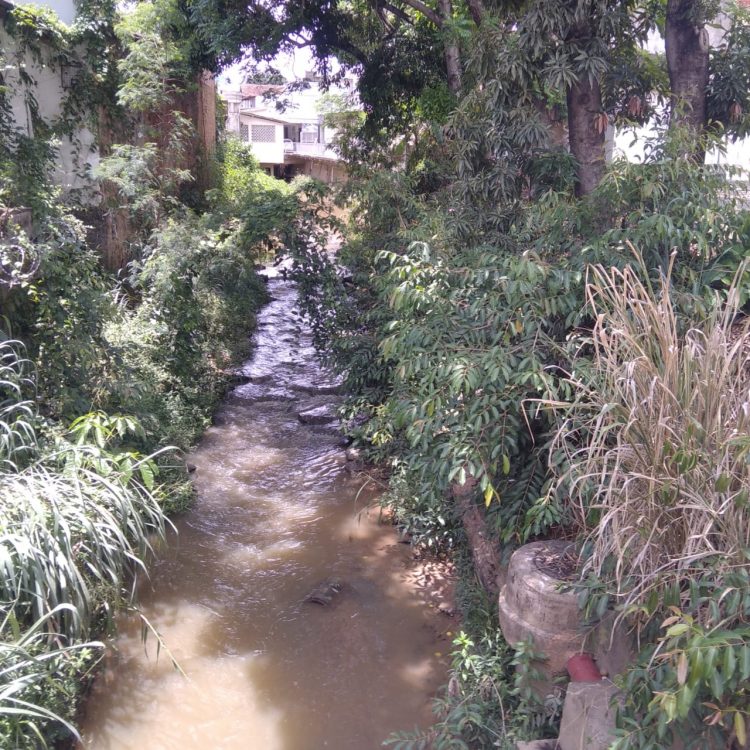 Imagem Do Dia: Fim de ano se aproximando e morador  preocupado com as chuvas  mostra situação  do rio em Mantena 