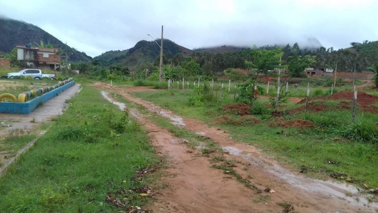 Misericórdia Prefeito! Misto de  lamaçal, pasto, lagoa, mato, atoleiro,  terreirão  e vergonha  são definições para o  bairro Morada Nova em Mantena, veja as fotos