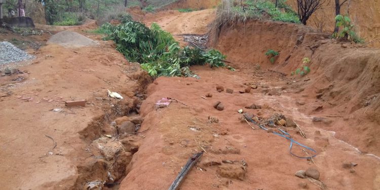 Misericórdia Prefeito! Misto de lamaçal, pasto, lagoa, mato, atoleiro, terreirão e vergonha são definições para o bairro Morada Nova em Mantena, veja as fotos
