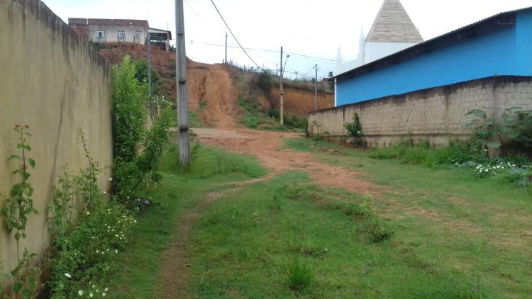 Misericórdia Prefeito! Misto de  lamaçal, pasto, lagoa, mato, atoleiro,  terreirão  e vergonha  são definições para o  bairro Morada Nova em Mantena, veja as fotos