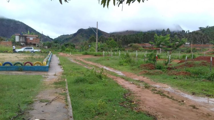 Misericórdia Prefeito! Misto de  lamaçal, pasto, lagoa, mato, atoleiro,  terreirão  e vergonha  são definições para o  bairro Morada Nova em Mantena, veja as fotos