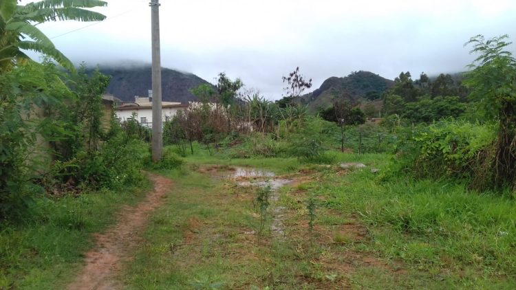 Misericórdia Prefeito! Misto de  lamaçal, pasto, lagoa, mato, atoleiro,  terreirão  e vergonha  são definições para o  bairro Morada Nova em Mantena, veja as fotos