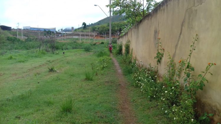 Misericórdia Prefeito! Misto de  lamaçal, pasto, lagoa, mato, atoleiro,  terreirão  e vergonha  são definições para o  bairro Morada Nova em Mantena, veja as fotos