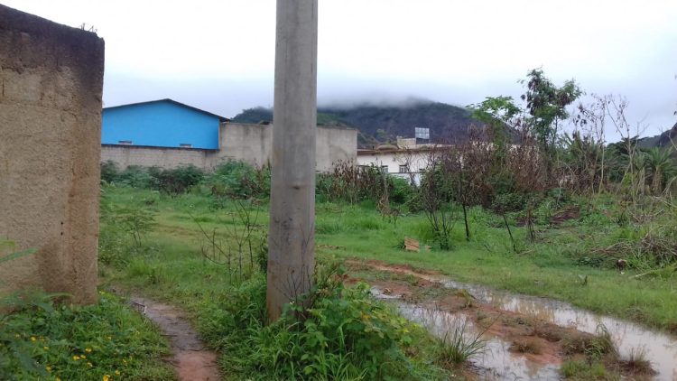 Misericórdia Prefeito! Misto de  lamaçal, pasto, lagoa, mato, atoleiro,  terreirão  e vergonha  são definições para o  bairro Morada Nova em Mantena, veja as fotos