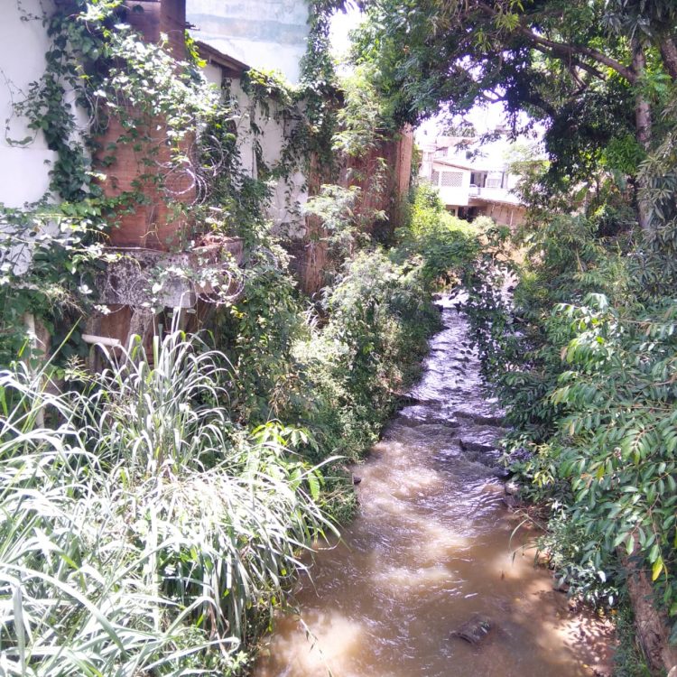 Imagem Do Dia: Fim de ano se aproximando e morador  preocupado com as chuvas  mostra situação  do rio em Mantena 