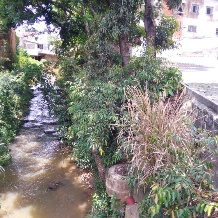 Imagem Do Dia: Fim de ano se aproximando e morador  preocupado com as chuvas  mostra situação  do rio em Mantena 