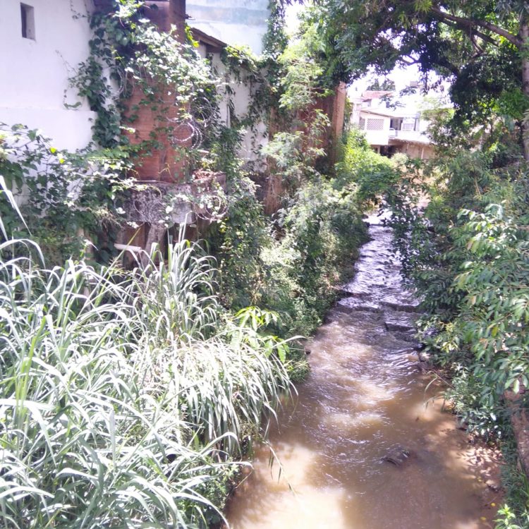 Imagem Do Dia: Fim de ano se aproximando e morador  preocupado com as chuvas  mostra situação  do rio em Mantena 