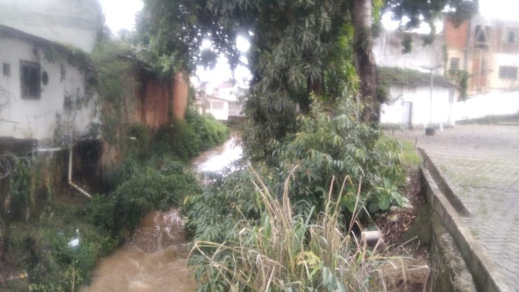 Imagem Do Dia: Cansado de esperar comerciante paga do bolso parte da limpeza do matagal que cercava o Rio São Francisco na ponte do Fórum de Mantena 