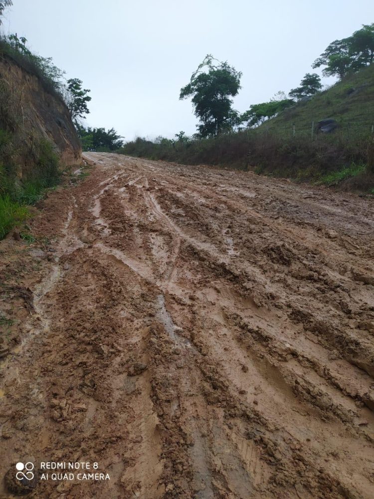 Veja a que ponto chegamos? Comerciante pagou  para limpar beirada de rio  e moradores  fazem vaquinha para cuidar de  estrada do interior de Mantena 