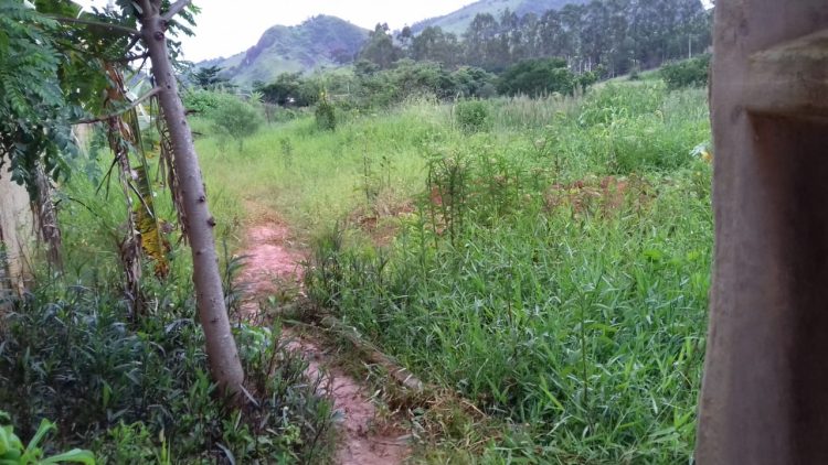 Misericórdia Prefeito!  Veículo não passa  e doente tem de sair nas costas, Rua Uberlândia sofre com descaso e abandono do bairro Morada Nova em Mantena