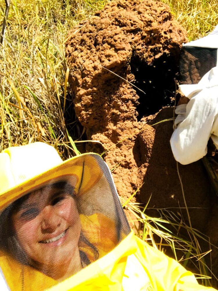Sua Vida é Destaque: Conheça a história da apicultora mantenense  Paloma Nogueira e experimente do mais genuíno mel de toda região 