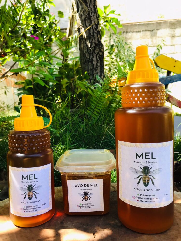 Sua Vida é Destaque: Conheça a história da apicultora mantenense  Paloma Nogueira e experimente do mais genuíno mel de toda região 