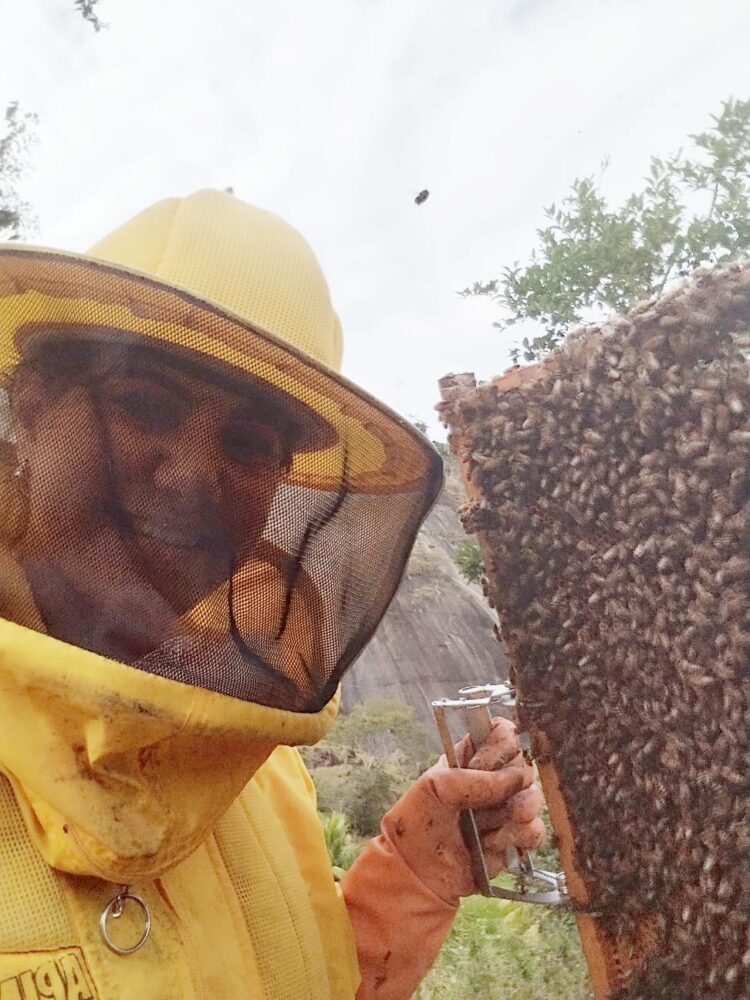 Sua Vida é Destaque: Conheça a história da apicultora mantenense  Paloma Nogueira e experimente do mais genuíno mel de toda região 