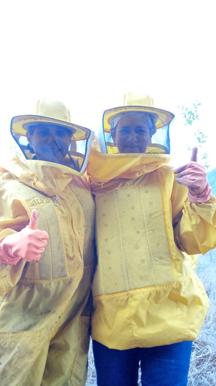 Sua Vida é Destaque: Conheça a história da apicultora mantenense  Paloma Nogueira e experimente do mais genuíno mel de toda região 