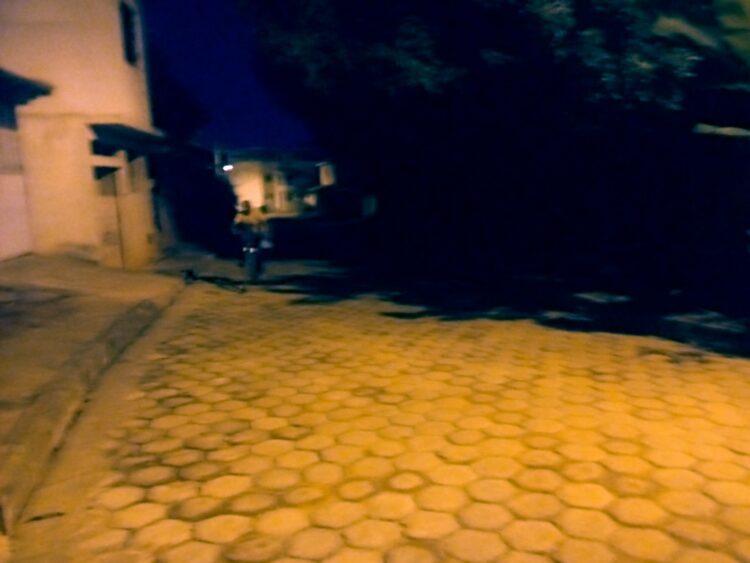 Vereador Hudson Said pede colocação de poste com luminária na Rua Crisântemo no Bairro Boa Esperança em Mantena