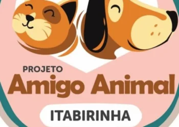 Grupo de amigos criam  o Projeto Amigo Animal  (de proteção animal) em Itabirinha 