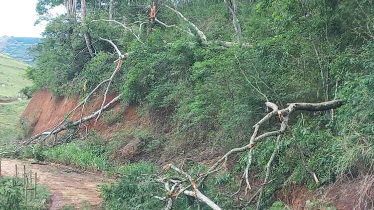 Chuva e fortes ventos deixaram vários prejuízos,  danos estruturais e quedas de árvores em Nova Belém, Leste de Minas