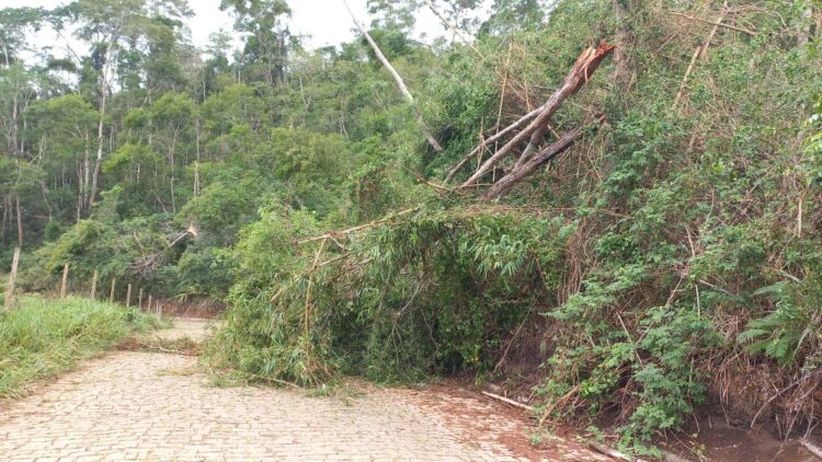 Chuva e fortes ventos deixaram vários prejuízos,  danos estruturais e quedas de árvores em Nova Belém, Leste de Minas