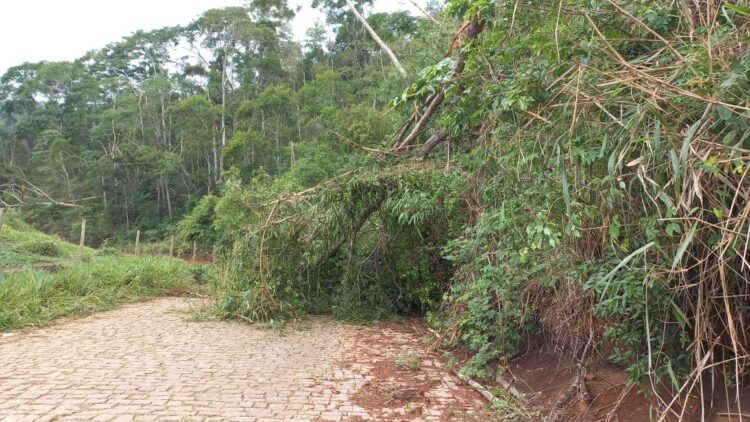 Chuva e fortes ventos deixaram vários prejuízos,  danos estruturais e quedas de árvores em Nova Belém, Leste de Minas