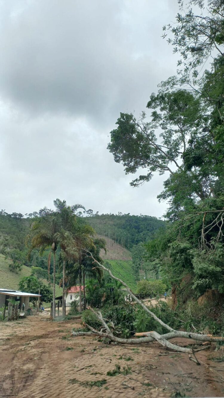 Chuva e fortes ventos deixaram vários prejuízos,  danos estruturais e quedas de árvores em Nova Belém, Leste de Minas