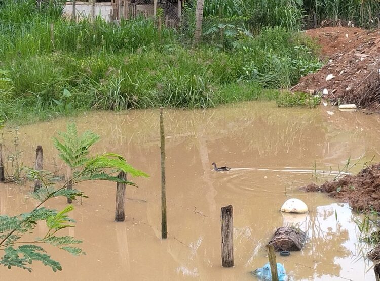 Redes Sociais: Área de brejo sendo transformada em lixão e depósito de entulhos em Mantena, cadê a fiscalização?