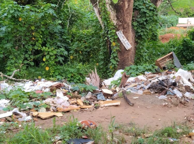 Redes Sociais: Área de brejo sendo transformada em lixão e depósito de entulhos em Mantena, cadê a fiscalização?