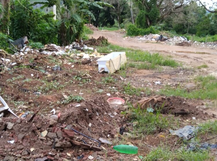 Redes Sociais: Área de brejo sendo transformada em lixão e depósito de entulhos em Mantena, cadê a fiscalização?