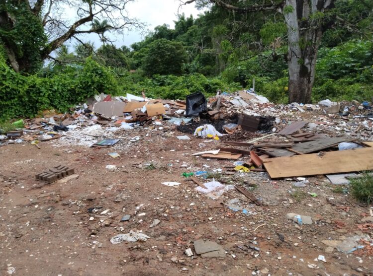 Redes Sociais: Área de brejo sendo transformada em lixão e depósito de entulhos em Mantena, cadê a fiscalização?