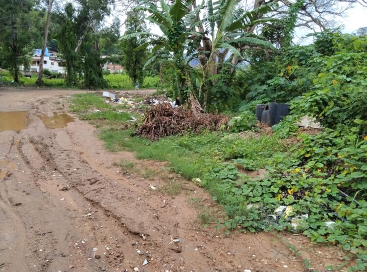 Redes Sociais: Área de brejo sendo transformada em lixão e depósito de entulhos em Mantena, cadê a fiscalização?
