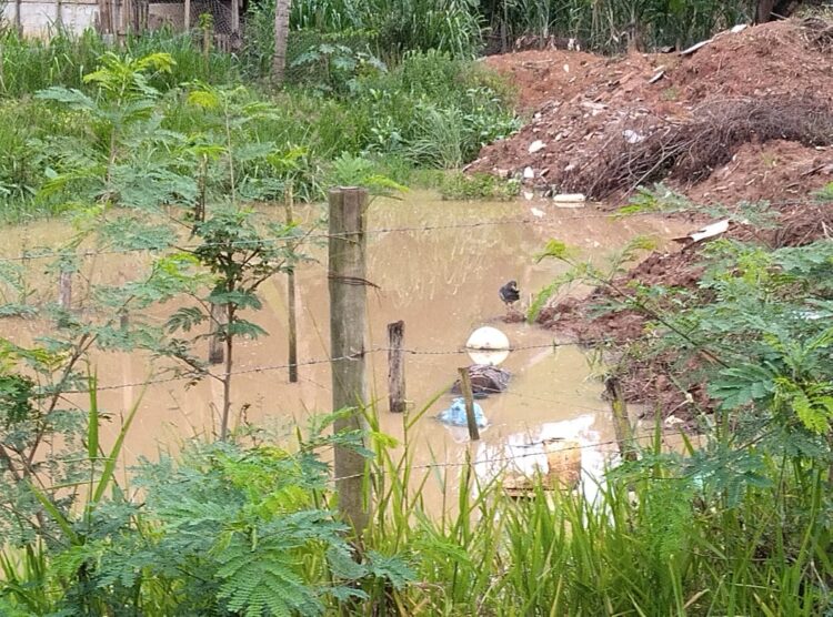 Redes Sociais: Área de brejo sendo transformada em lixão e depósito de entulhos em Mantena, cadê a fiscalização?