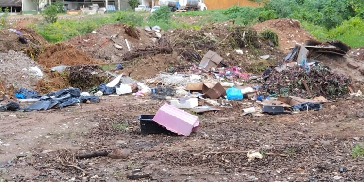 Redes Sociais: Área de brejo sendo transformada em lixão e depósito de entulhos em Mantena, cadê a fiscalização?