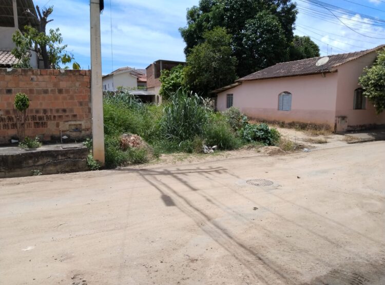 Prefeitura não toma providências e medo da dengue faz cidadã refém em sua própria residência em Mantena