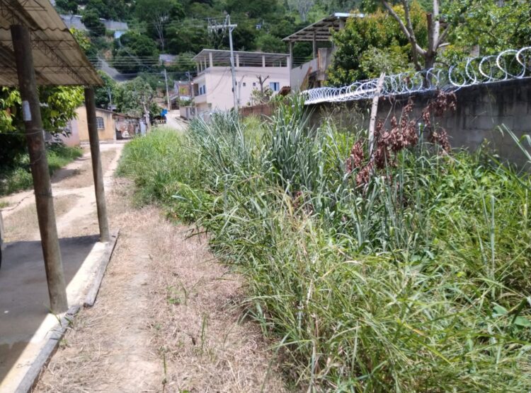 Prefeitura não toma providências e medo da dengue faz cidadã refém em sua própria residência em Mantena