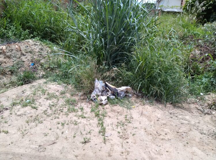 Prefeitura não toma providências e medo da dengue faz cidadã refém em sua própria residência em Mantena