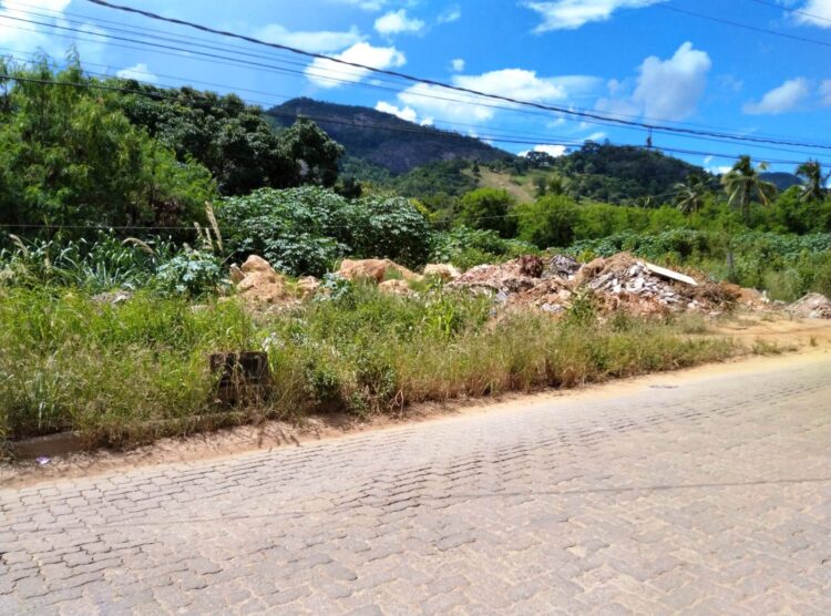 Não está dando conta do recado? Matagal invadindo as vias públicas  e lixão  a céu aberto é a verdade da Rua Rafael de Carvalho em Mantena 