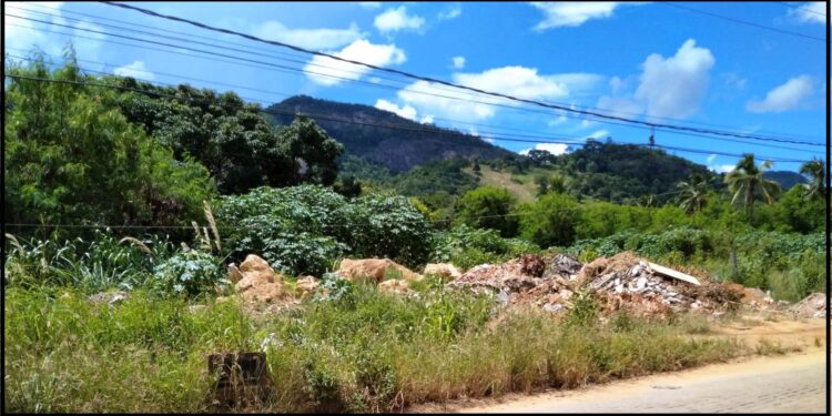 Não está dando conta do recado? Matagal invadindo as vias públicas  e lixão  a céu aberto é a verdade da Rua Rafael de Carvalho em Mantena 