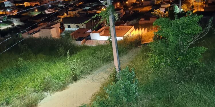 População indignada: Mato tomou conta das ruas do  Bairro Philadelfia, animais peçonhentos aparecem no Bairro Vila Florindo em Mantena 