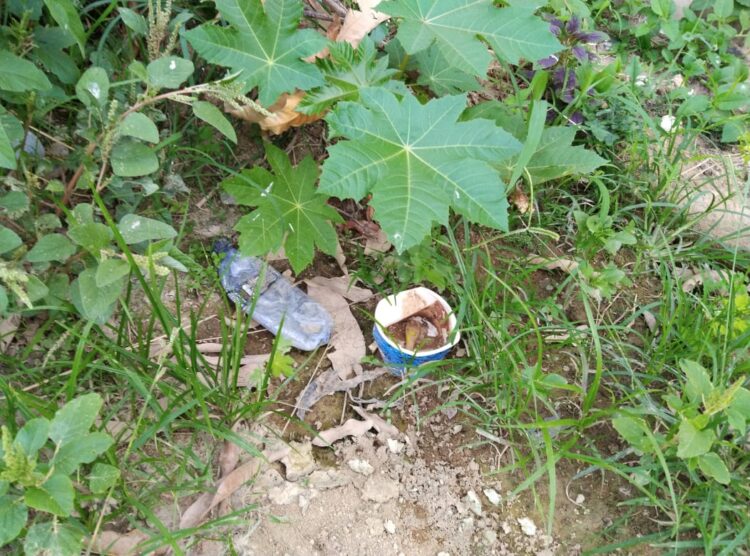 Vítima do mosquito da dengue morador pede socorro na limpeza de lote e retirada de entulhos no Bairro Bela Vista em Mantena
