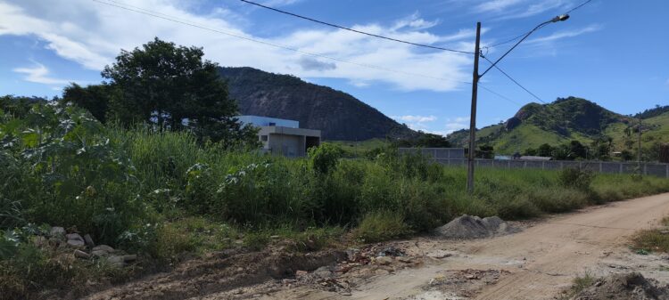 População indignada: Mato tomou conta das ruas do  Bairro Philadelfia, animais peçonhentos aparecem no Bairro Vila Florindo em Mantena 