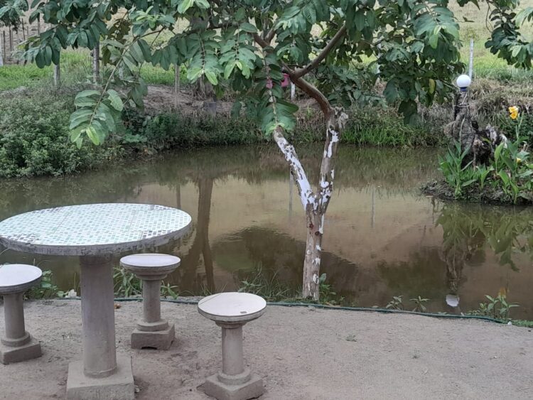 Este sonho pode ser seu: Vende-se um Sítio medindo 25 mil m2 a 3 Km do centro de Mantena, veja as fotos e entre em contato conosco