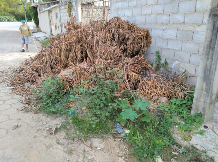 Vítima do mosquito da dengue morador pede socorro na limpeza de lote e retirada de entulhos no Bairro Bela Vista em Mantena