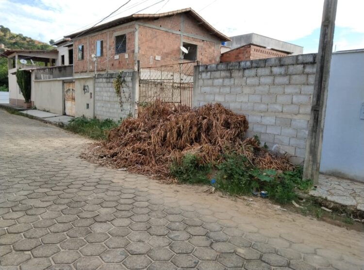 Vítima do mosquito da dengue morador pede socorro na limpeza de lote e retirada de entulhos no Bairro Bela Vista em Mantena