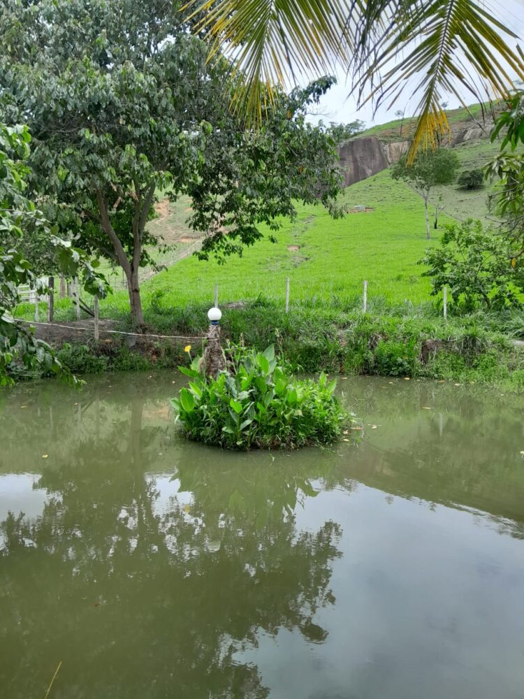 Este sonho pode ser seu: Vende-se um Sítio medindo 25 mil m2 a 3 Km do centro de Mantena, veja as fotos e entre em contato conosco